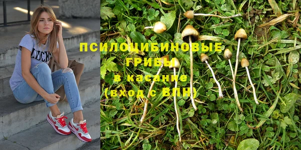 скорость Баксан