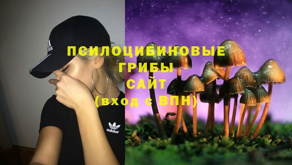 скорость Баксан